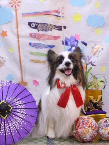 20240519マリーちゃん